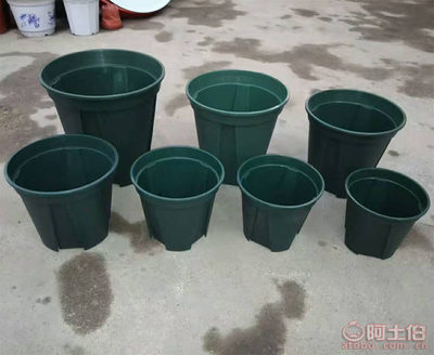 豫超青山控根盆 園藝愛好者的防爛根利器