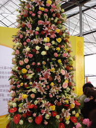 繁華中的靜謐 瑞星卡卡安全論壇與第五屆國(guó)際花卉展的不期而遇