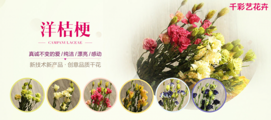 花卉 自然的詩篇與生活的藝術(shù)